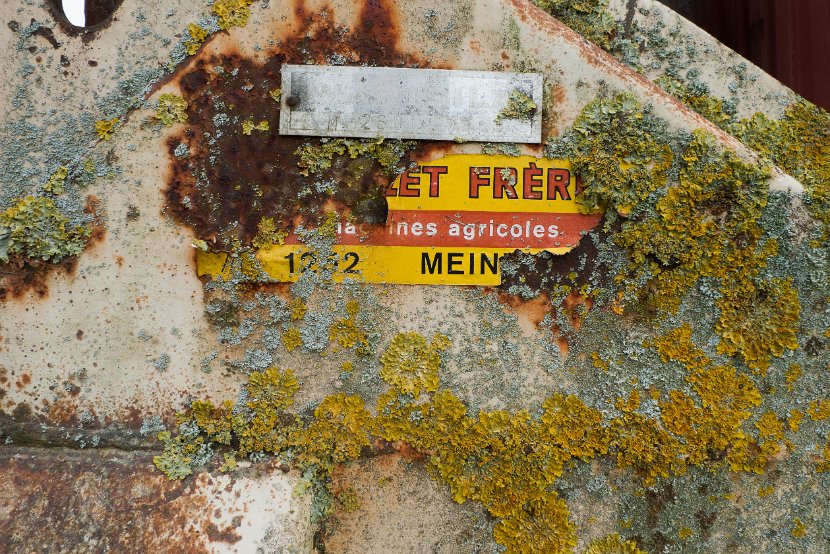 Lichens Lullier-5